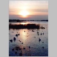 2010 2nd Michael Bennett- Welney